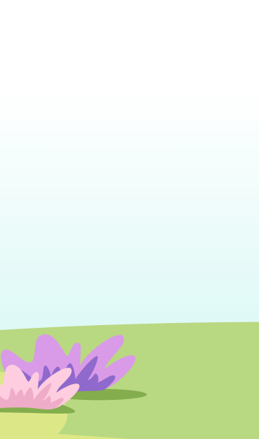 Tokopedia journey in